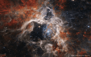 Trantula Nebula captured by James Webb Teliscope